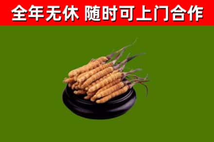 道真烟酒回收冬虫夏草.jpg
